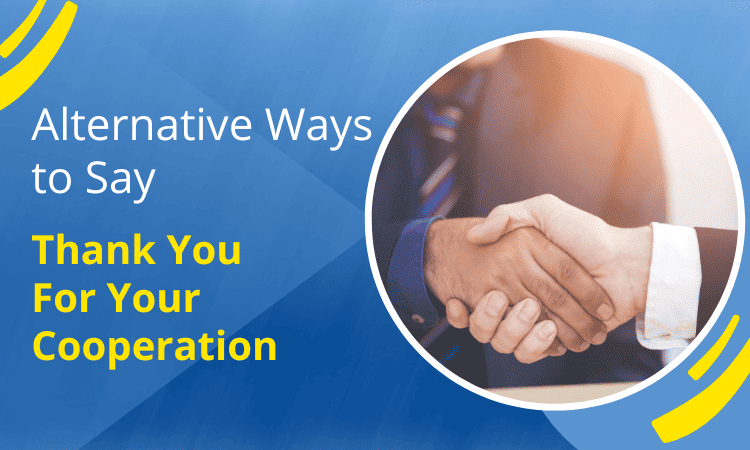 Alternative Ways to Say Thank You For Your Cooperation
